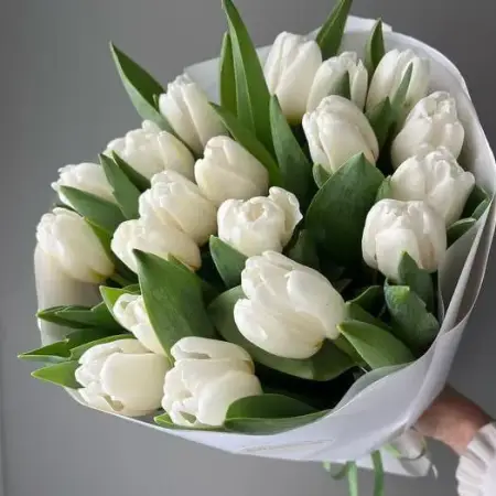 Букет из белых тюльпанов