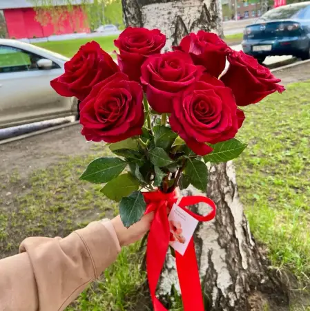 Букет из 7 красных роз под ленту